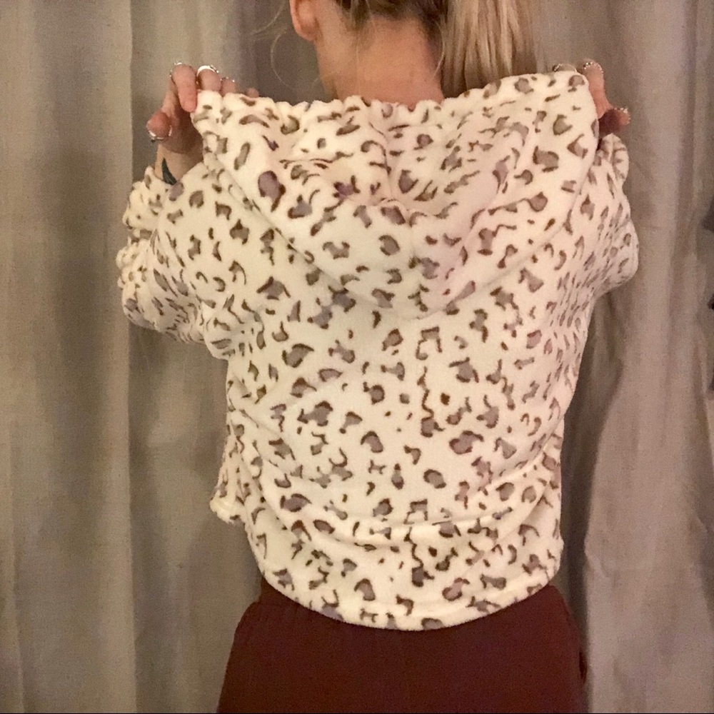 NEW Leopard Teddy - Picture 6 of 8